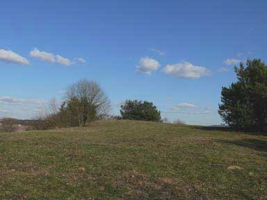 Forlenbuckel bei Ubstadt-Weiher. Rekonstruierte
                Sandduene