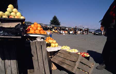 Obstmarkt mit
                Holzkisten und Personen